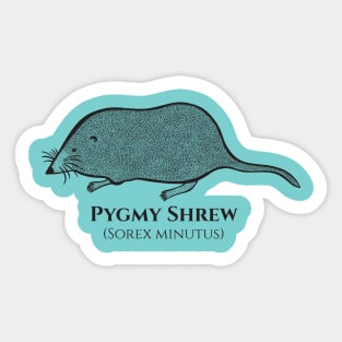 Pygmy Shrew with Common and Scientific Names - animal design Sticker